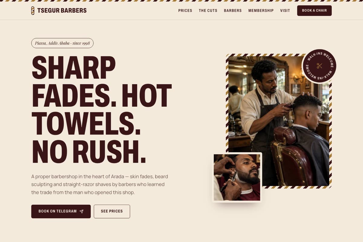 Tsegur template preview